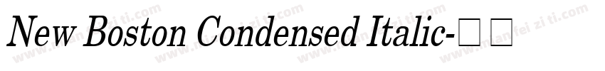 New Boston Condensed Italic字体转换
